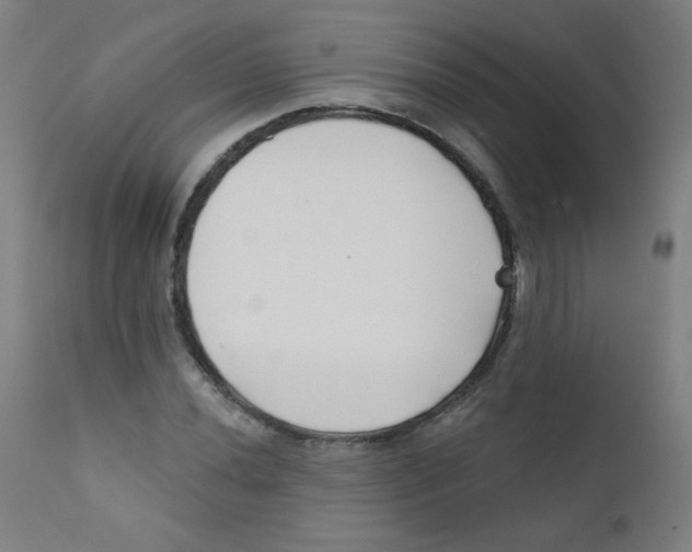 X0000112181020200909041225