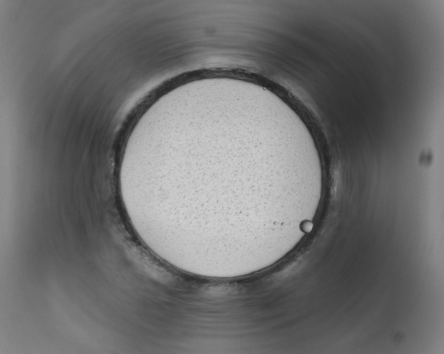 X0000112181021200909041225