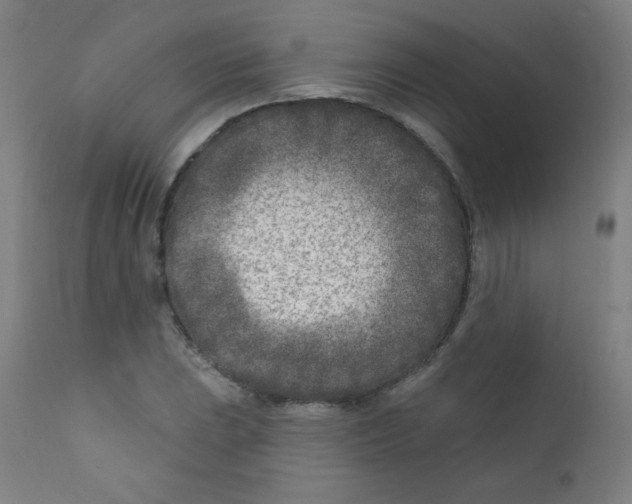 X0000112181023200909041225