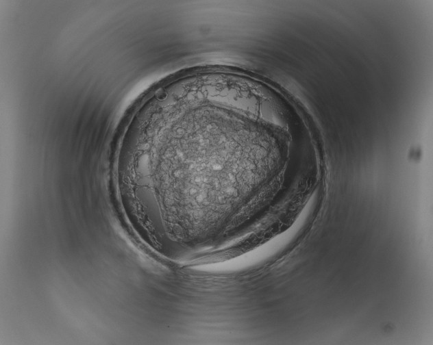 X0000112181024200909041225