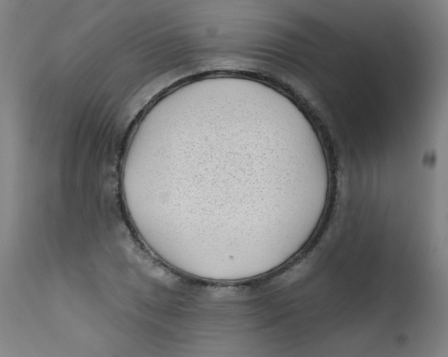 X0000112181025200909041225