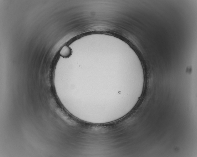 X0000112181026200909041225