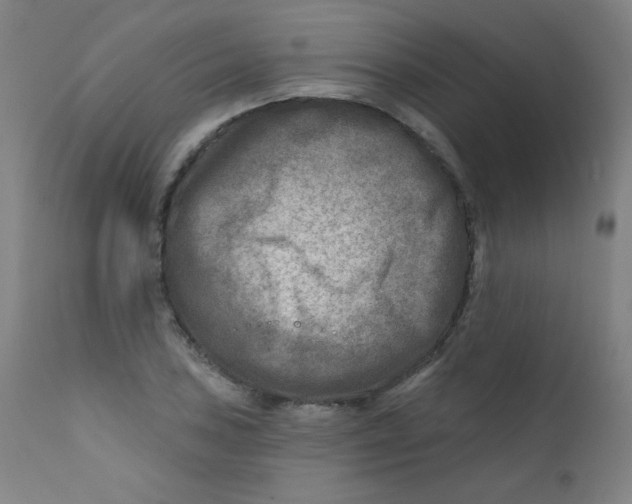X0000112181027200909041225