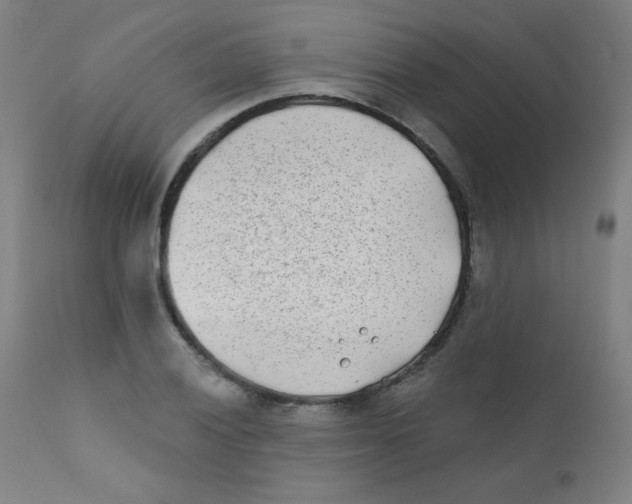 X0000112181028200909041225