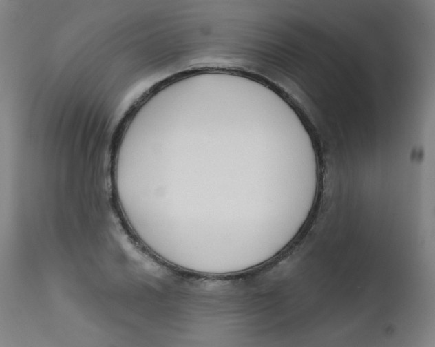 X0000112181030200909041225