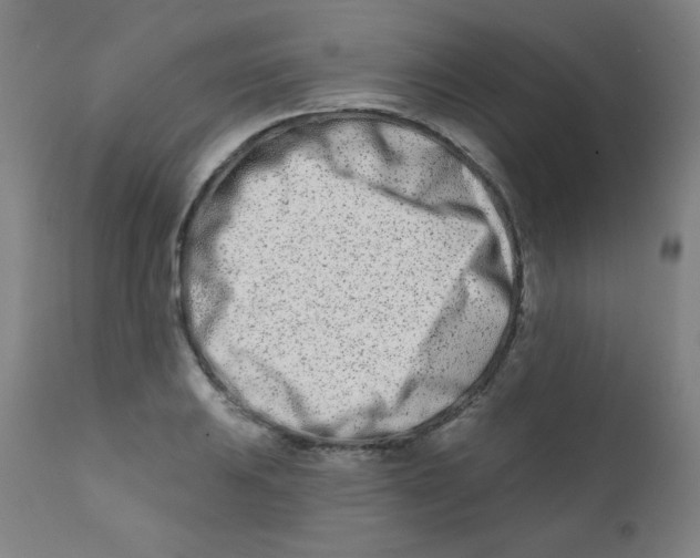 X0000112181031200909041225