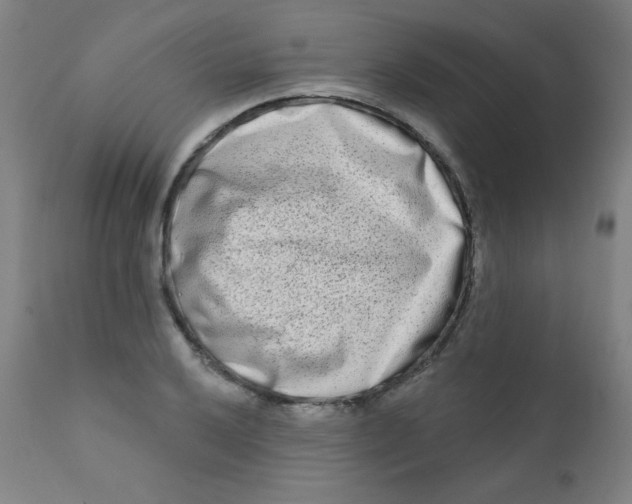X0000112181032200909041225
