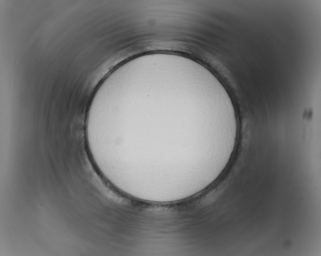 X0000112181033200909041225