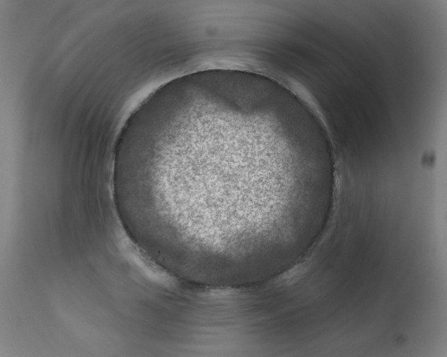 X0000112181035200909041225