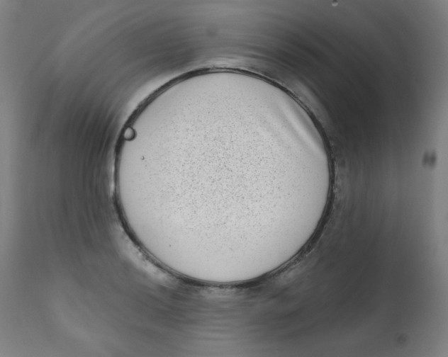 X0000112181036200909041225