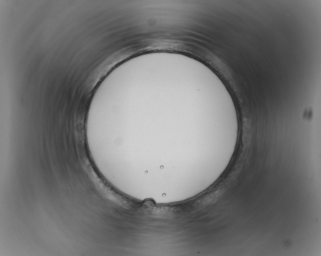 X0000112181041200909041225