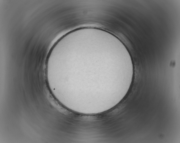X0000112181044200909041225