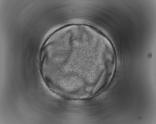 X0000112181045200909041225