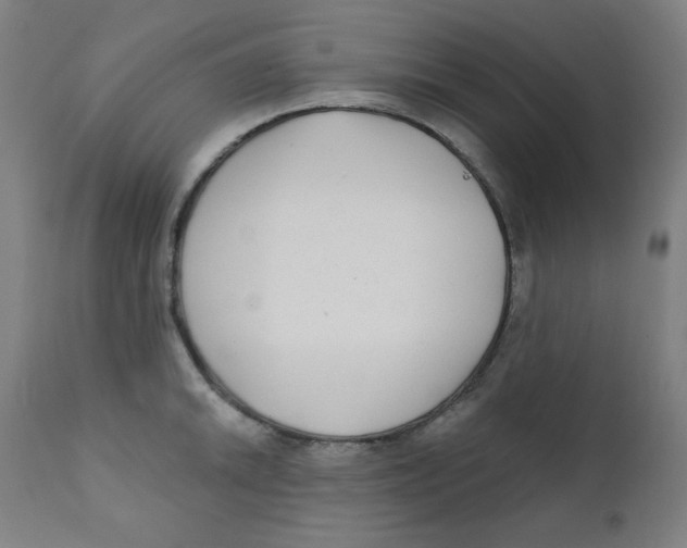 X0000112181046200909041225