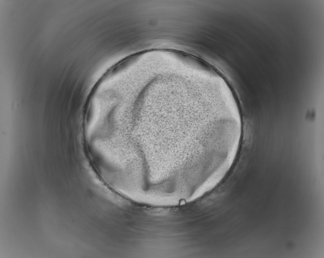 X0000112181048200909041225