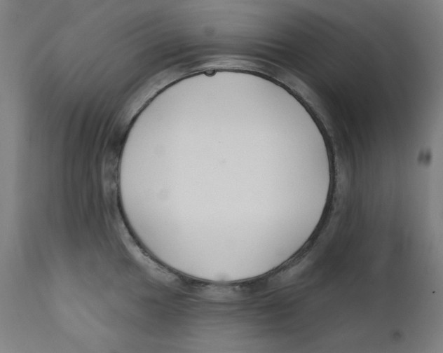 X0000112181049200909041225