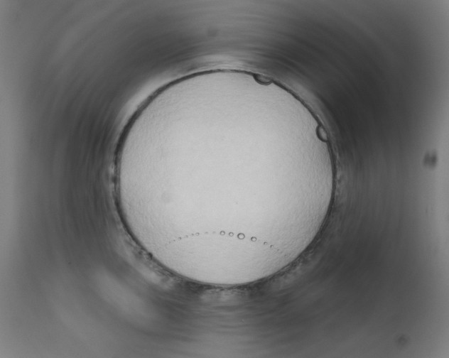 X0000112181051200909041225