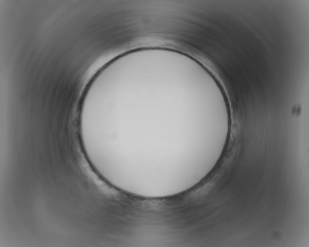 X0000112181053200909041225