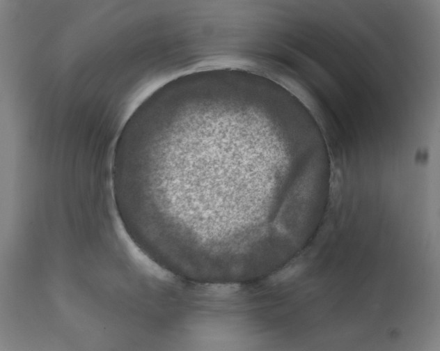 X0000112181055200909041225