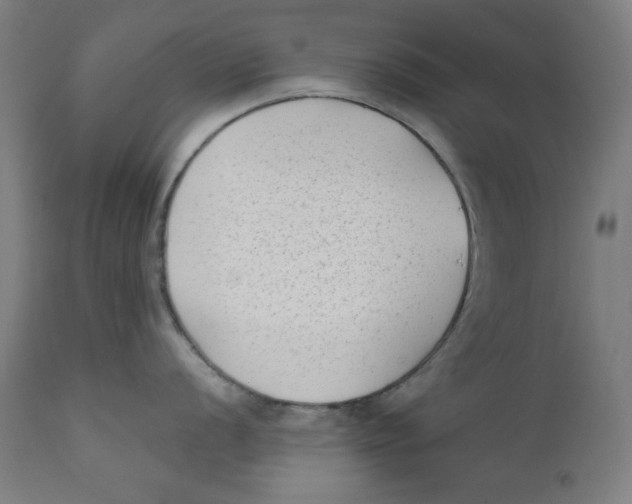 X0000112181056200909041225