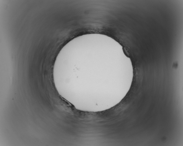 X0000112181057200909041224