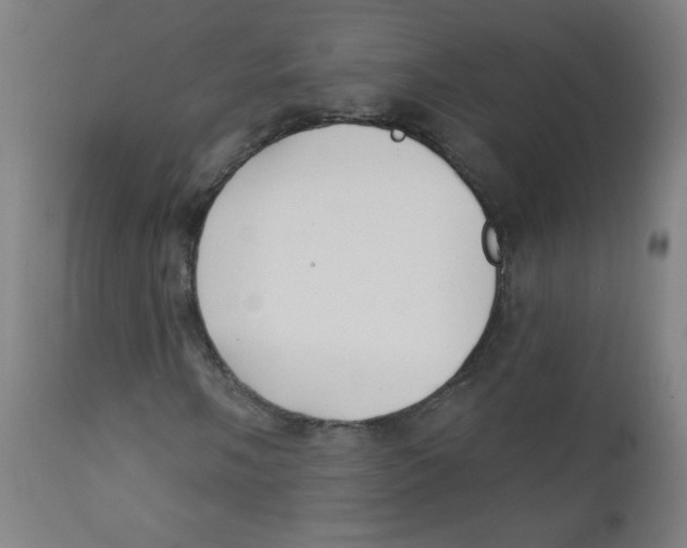X0000112181058200909041224