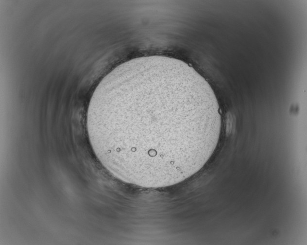 X0000112181059200909041224