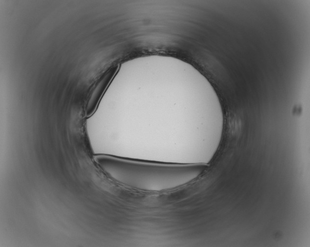 X0000112181060200909041224
