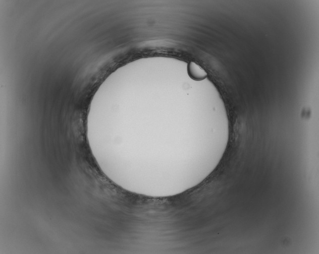 X0000112181062200909041224