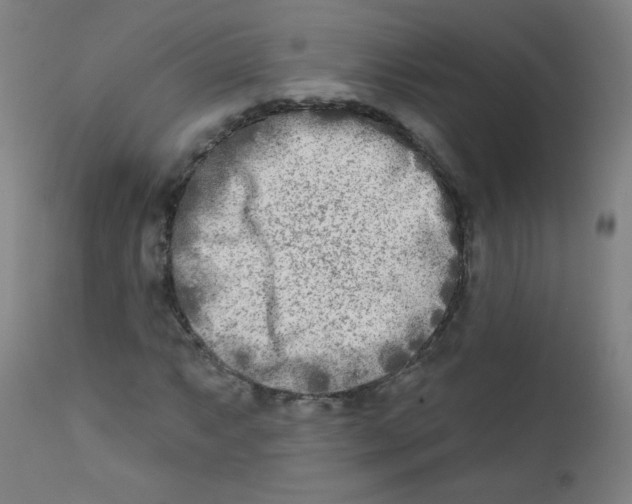 X0000112181063200909041224
