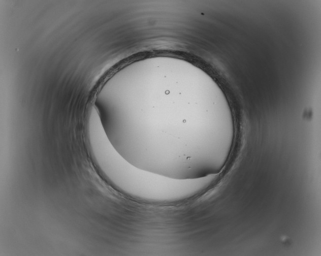 X0000112181065200909041224