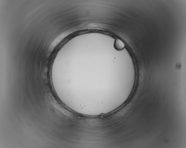 X0000112181066200909041224