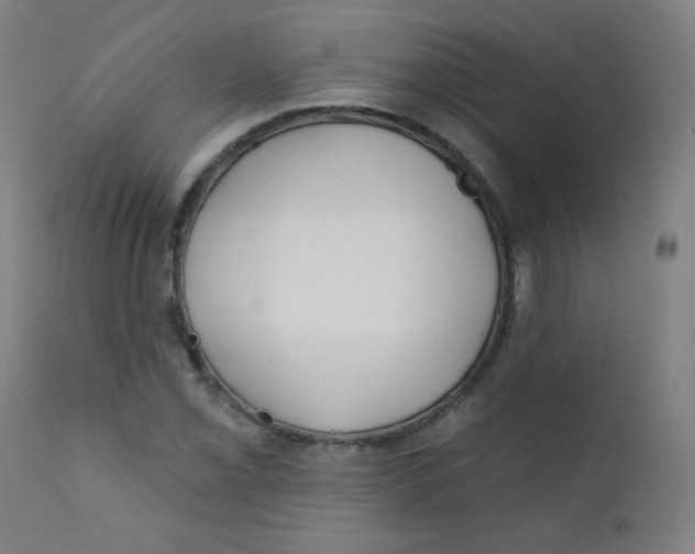 X0000112181069200909041224