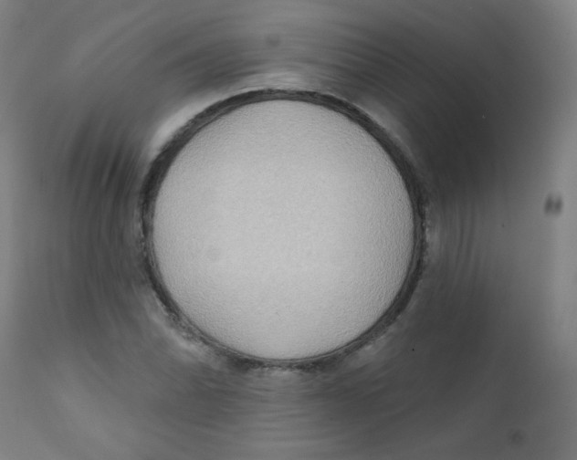 X0000112181070200909041224