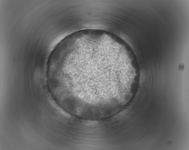 X0000112181071200909041224