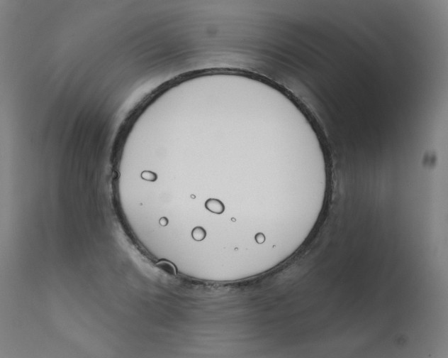 X0000112181072200909041224