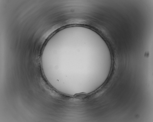 X0000112181073200909041224