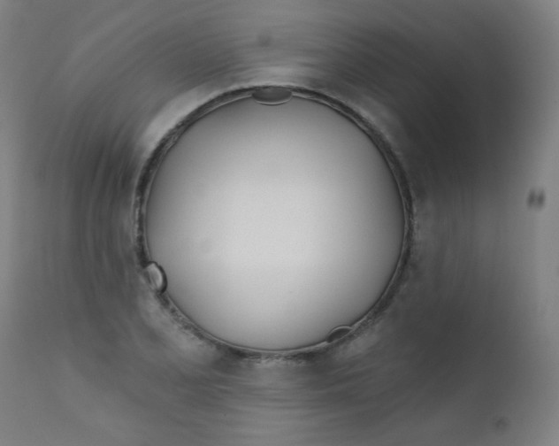 X0000112181077200909041224