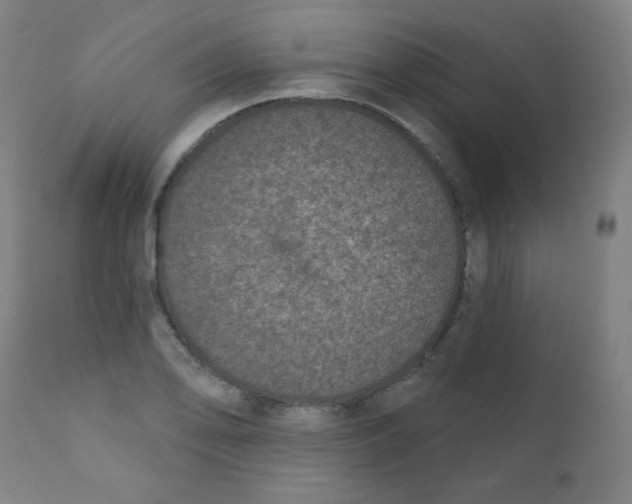 X0000112181078200909041224