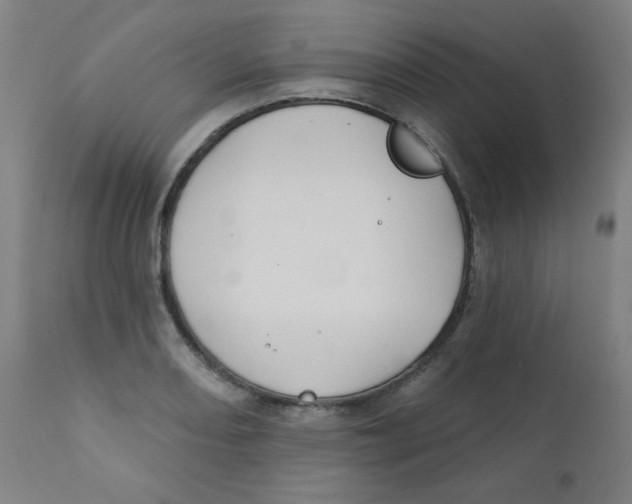 X0000112181082200909041224