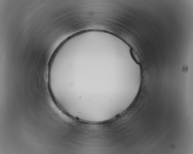 X0000112181084200909041224