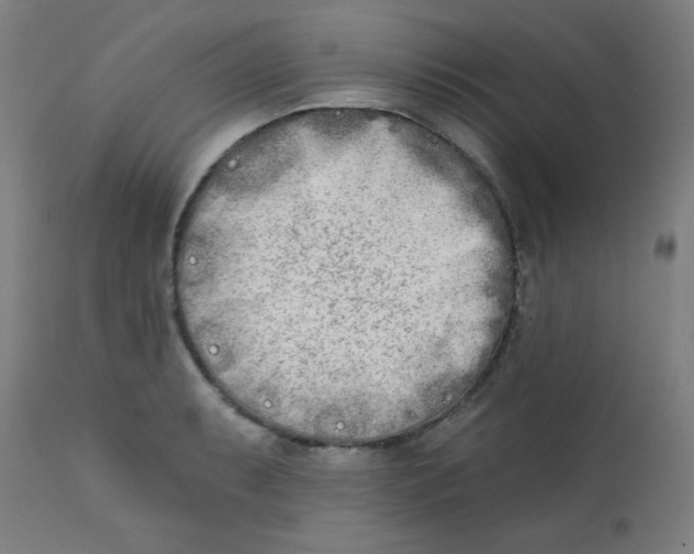 X0000112181087200909041224