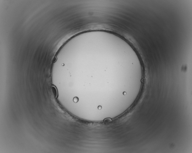 X0000112181089200909041224