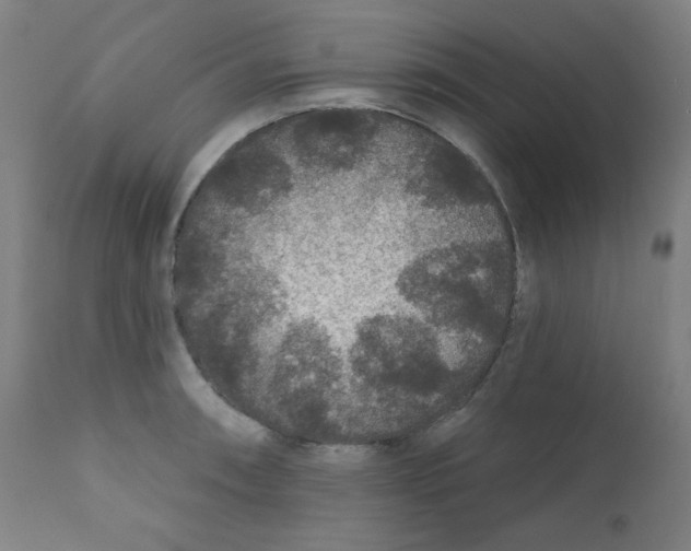 X0000112181090200909041224