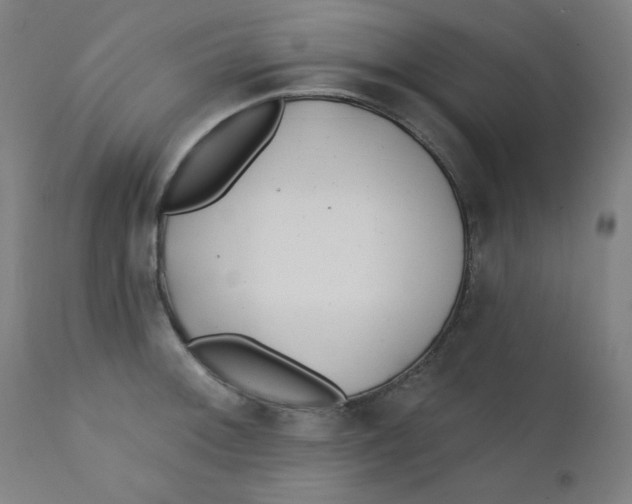 X0000112181092200909041224