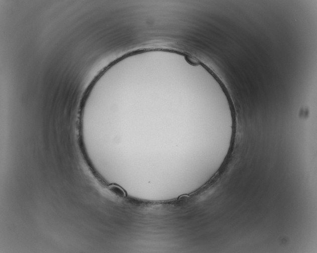 X0000112181093200909041224