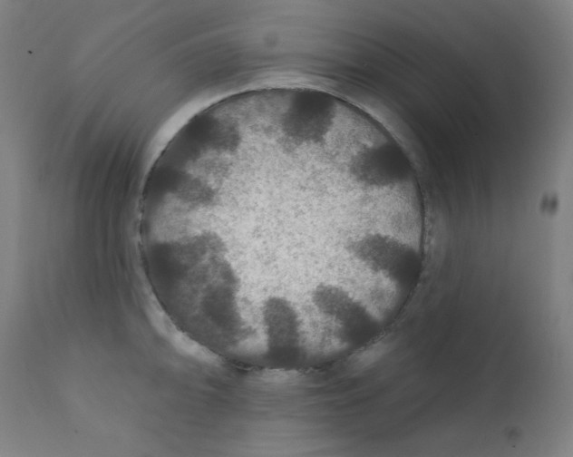X0000112181094200909041224
