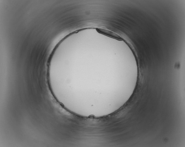 X0000112181096200909041224
