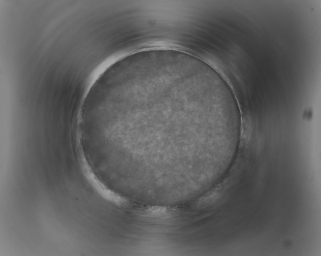 X0000112181098200909041224