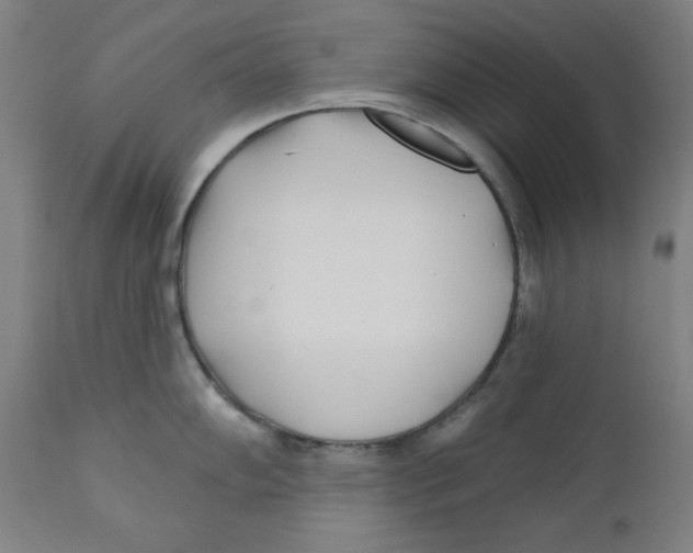 X0000112181102200909041224
